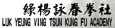 Luk Yeung Ving Tsun Kung Fu Academy 